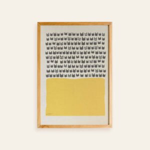 Shadow Medicine Package